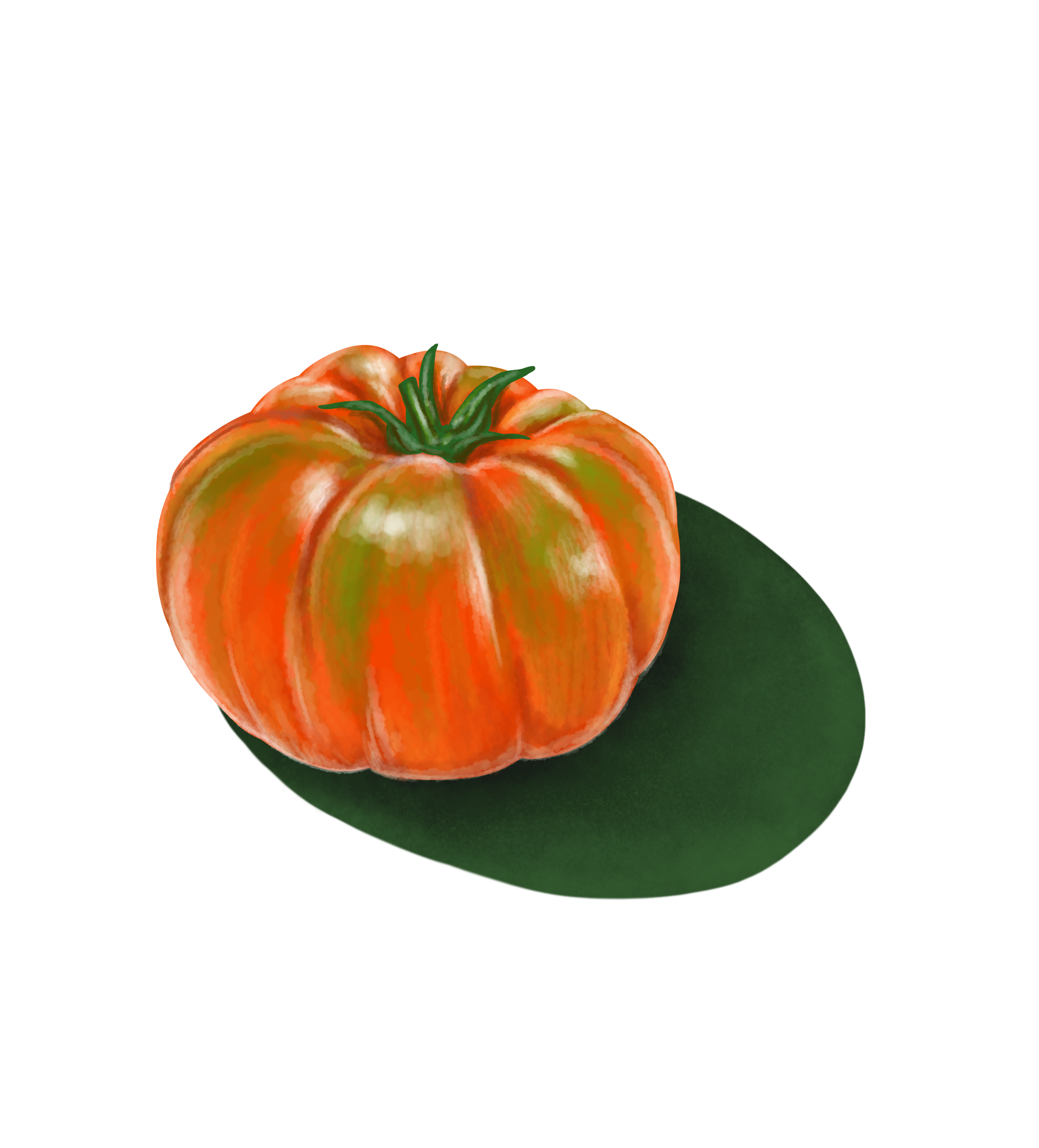 Ilustración Tomate TALKUAL